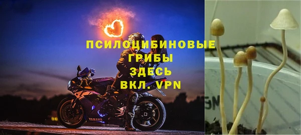 мескалин Корсаков