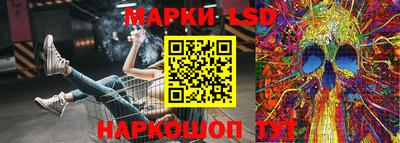кокс Донской