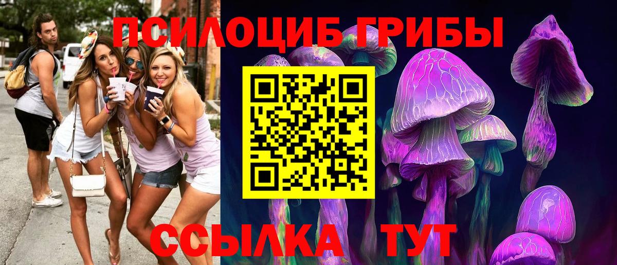 Псилоцибиновые грибы Psilocybine cubensis  закладки  Надым  Вход с VPN 