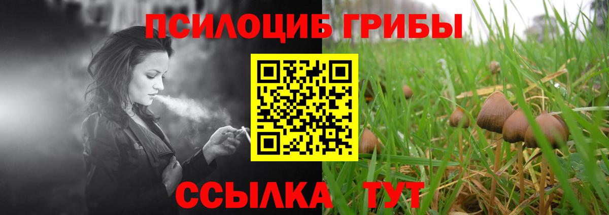 Галлюциногенные грибы GOLDEN TEACHER Надым